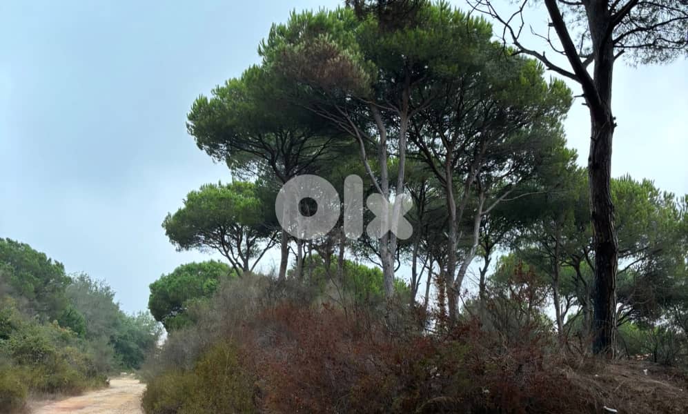 Land for sale in Broumana/  Seaview & Beirut View 1
