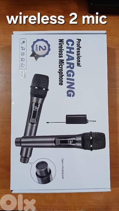 2 mic wireless
