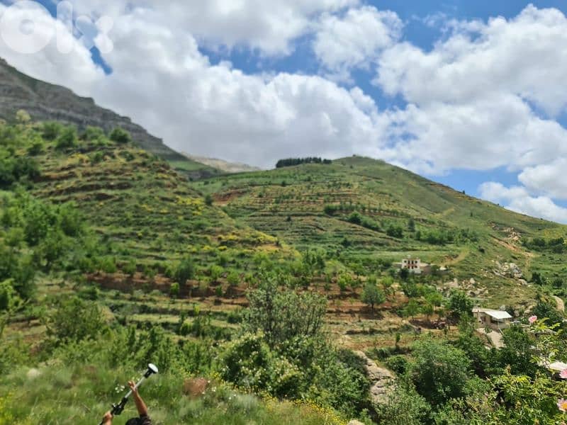 land for sale in tannourine أرض للبيع في تنورين 2