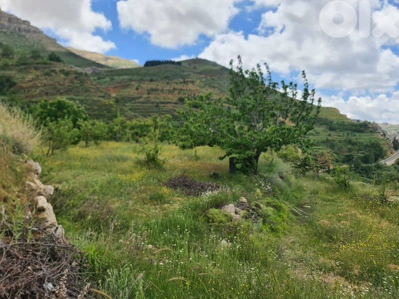 land for sale in tannourine أرض للبيع في تنورين 3