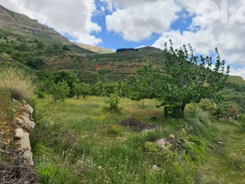 land for sale in tannourine أرض للبيع في تنورين 4