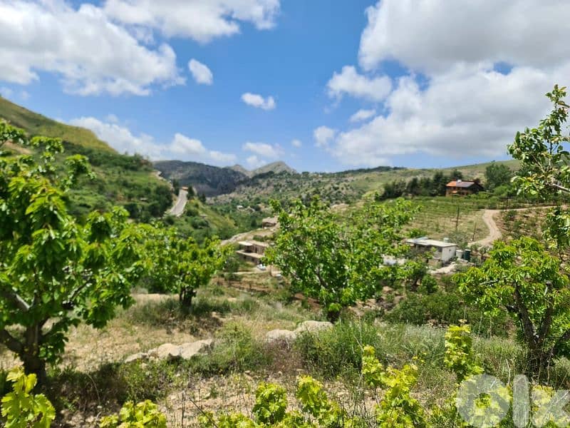 land for sale in tannourine أرض للبيع في تنورين 6
