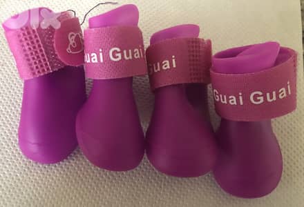 Dog Pet Shoes