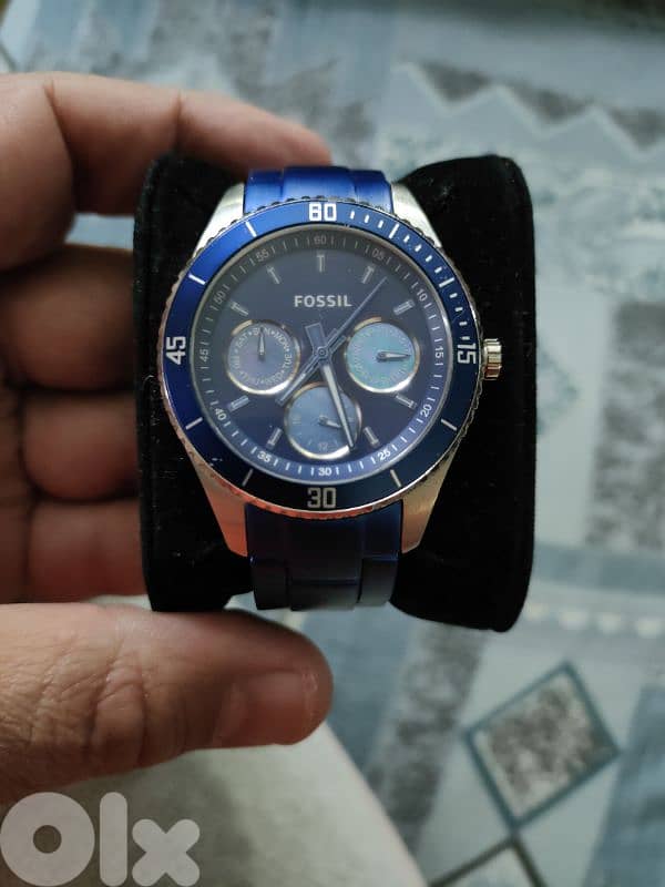 Fossil 1