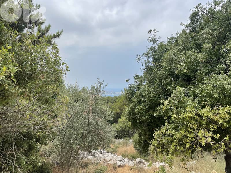 RWK327JA - Land For Sale In Chnaneir - أرض للبيع في شننعير 2