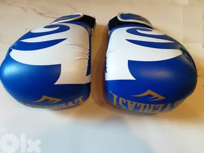 Boxing Everlast gloves made in Pakistan