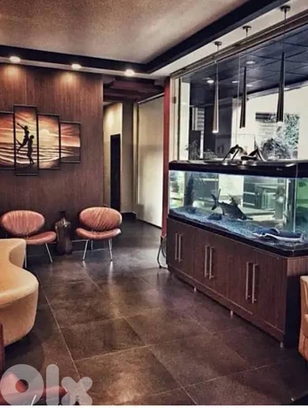 Aquarium custom made (fish tank + closet) Respectful buyers only 1