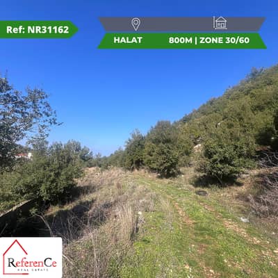 Land in halat for sale أرض للبيع في حالات