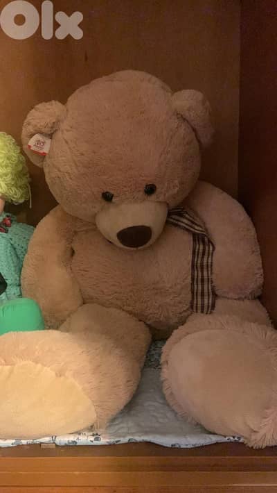 Big Teddy