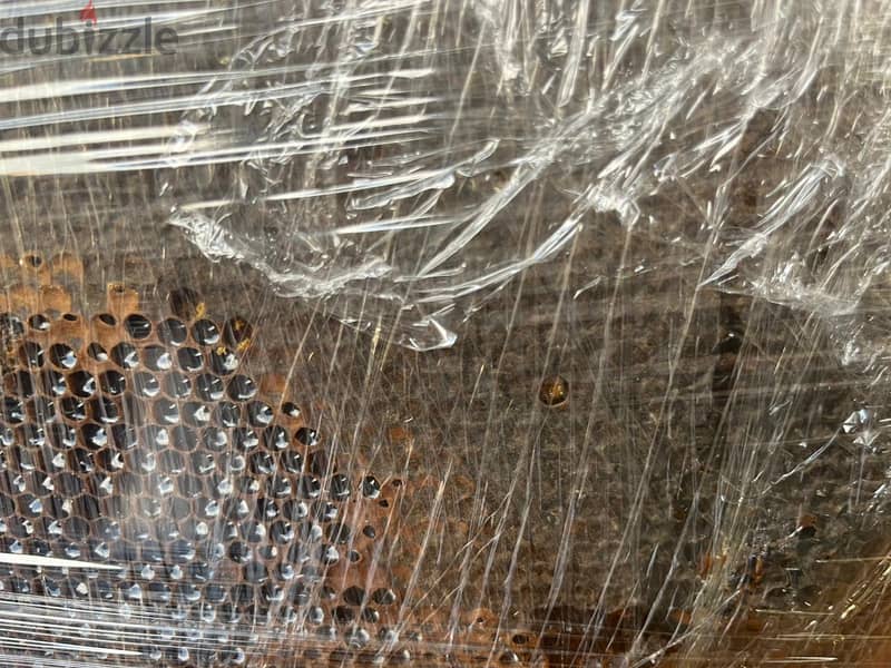 عسل وحبوب لقاح وعكبر 4