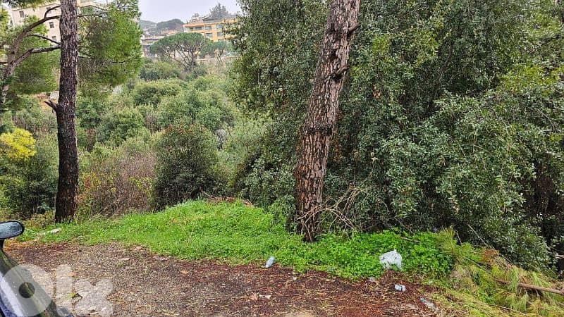 land for sale in mar chaaya أرض للبيع في مار شعيا 4