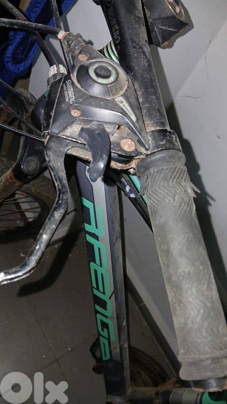 bicylce 1
