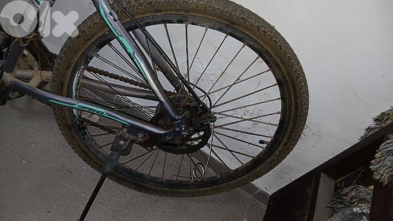bicylce 4