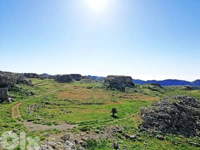 Land for sale in Laklouk - أرض للبيع في اللقلوق