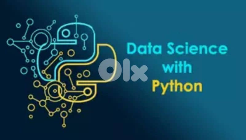 Learn to become Python Full Stack Developer! Free Project help! 5