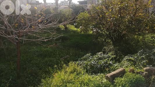 land 1032 sqm for sale in Jdeideh Ref#6514