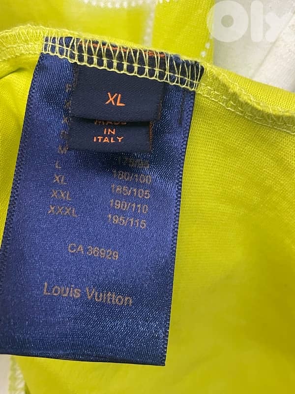 Louis Vuitton 6