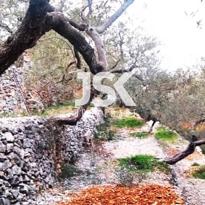 L17332 - Land For Sale in Chabtine, Batroun With Road Access
