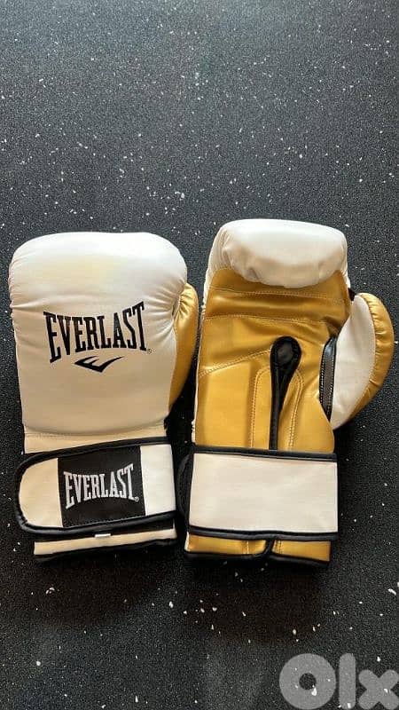 boxing gloves 1