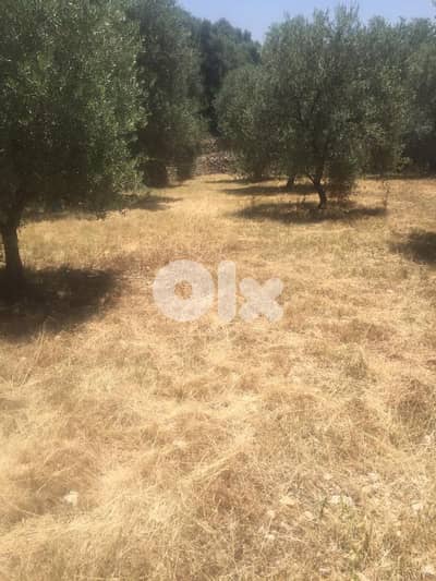 land 9500sqm for sale in deir El kamar