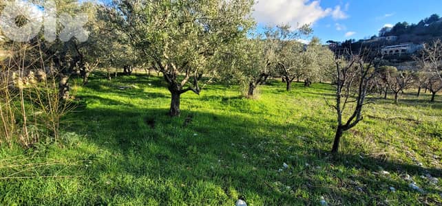 RWB111EG - Land for sale in Lehfed Jbeil