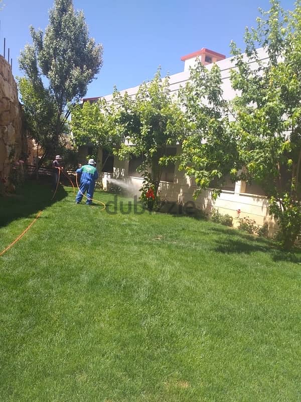 chalet for rent, شاليه للإيجار 4