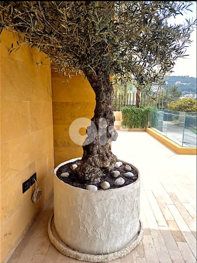 Concrete planters