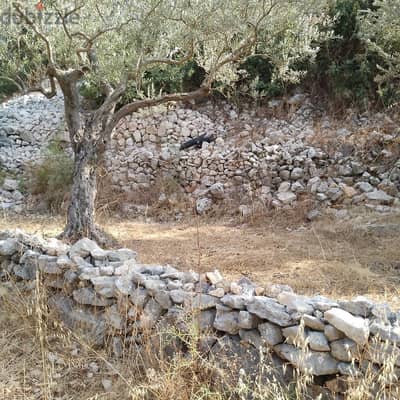 Land for sale in Derya-Batroun أرض للبيع في دريا - البترون