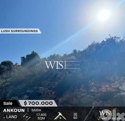 Prime 17400 SQM Land for SALE in Ankoun -Saida !