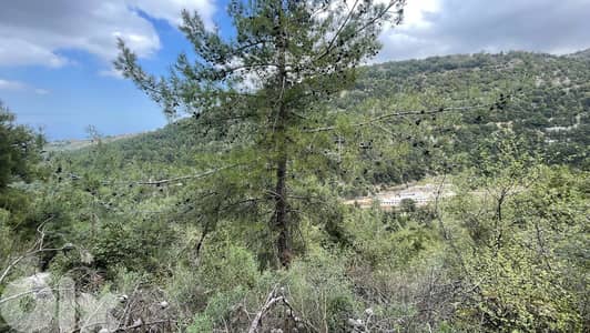 RWB138SN - Land for sale in Behouaita - Zgharta