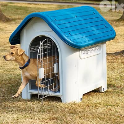 Dog Outdoor House