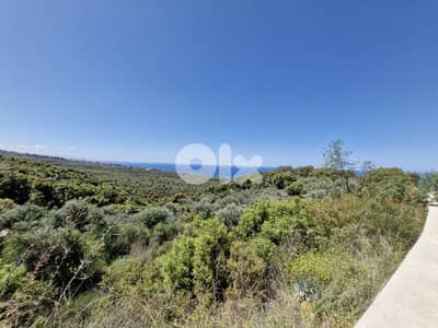 Land for sale in Berbara أرض للبيع في البربارة