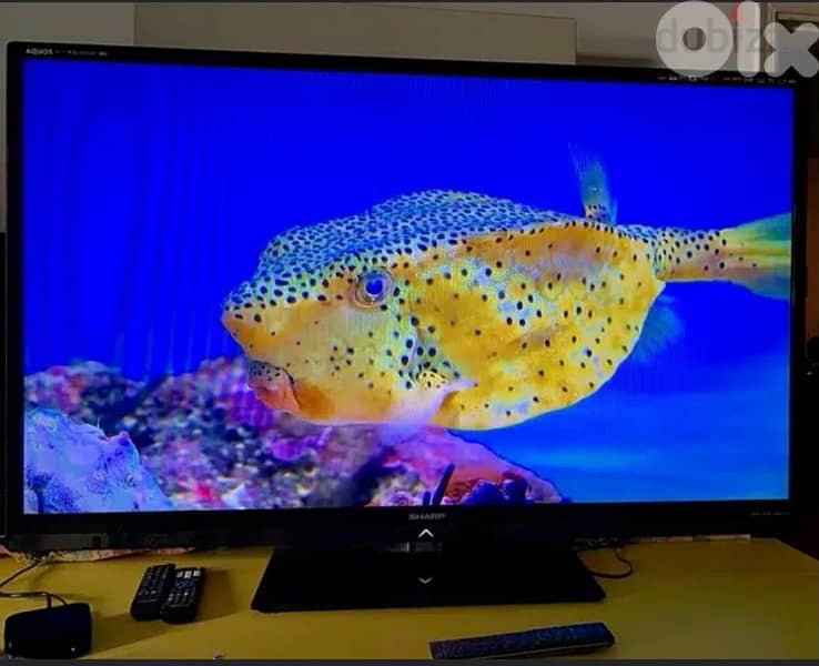 Sharp 60 inch 1