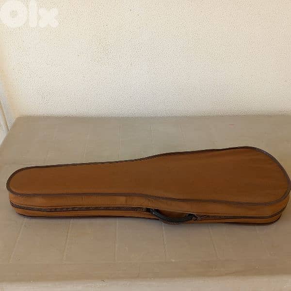 Hard Case for Violin 1