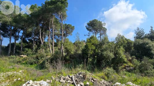 Land for Sale in Rabwe أرض للبيع في ربوة