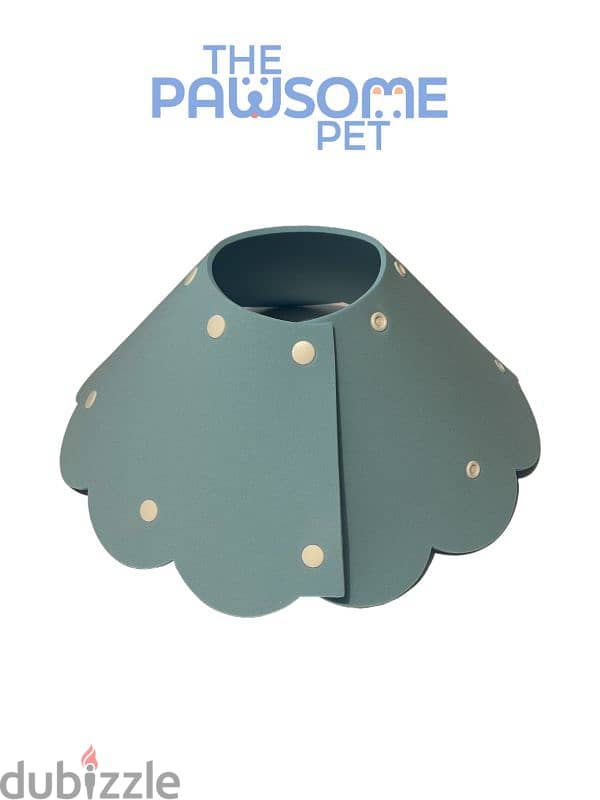 Pawsome's Elizabeth collar 3