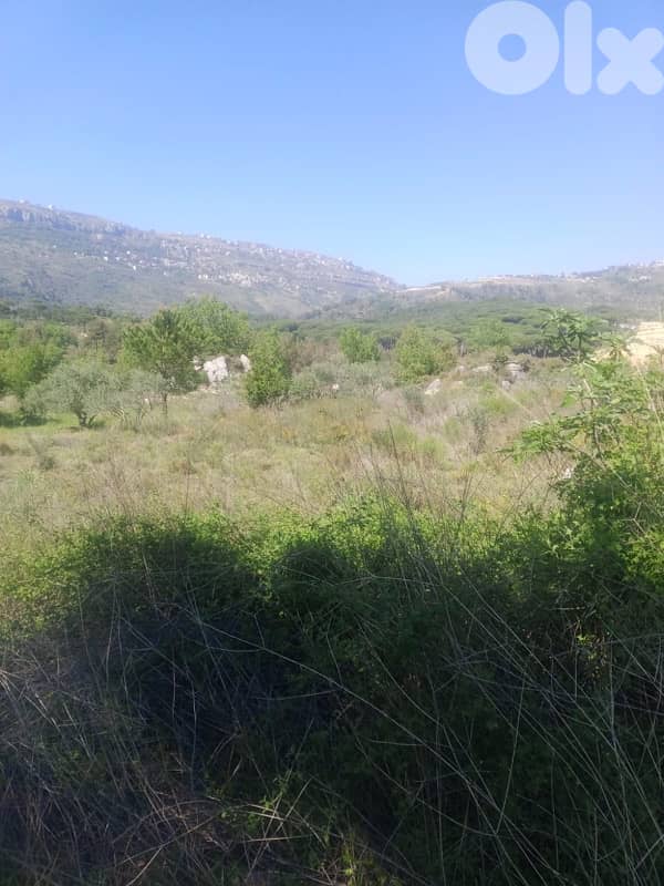 ارض مع بيت للبيع في الرملية عاليهland for sale in ramlye aley 2