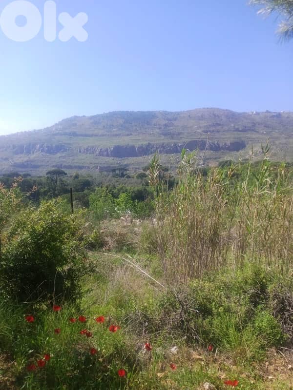 ارض مع بيت للبيع في الرملية عاليهland for sale in ramlye aley 3