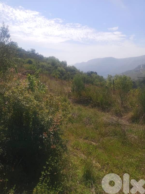 ارض مع بيت للبيع في الرملية عاليهland for sale in ramlye aley 4