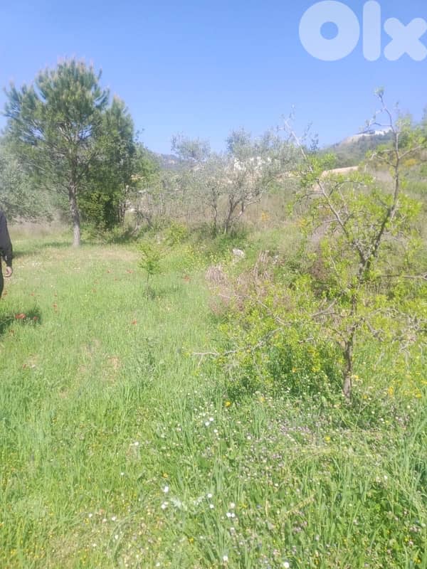 ارض مع بيت للبيع في الرملية عاليهland for sale in ramlye aley 5