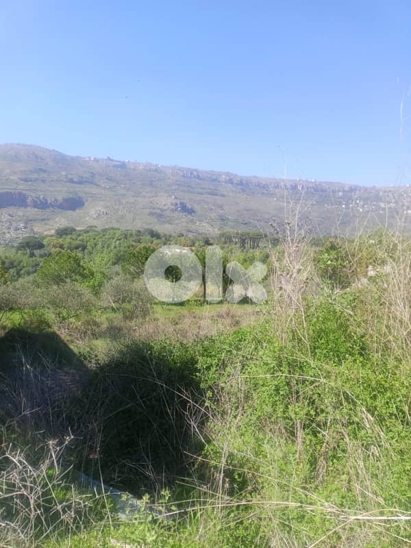 ارض مع بيت للبيع في الرملية عاليهland for sale in ramlye aley 6
