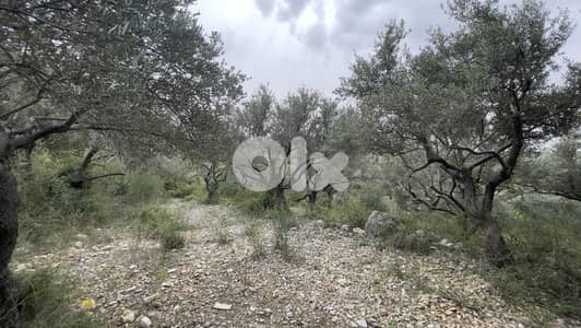 RWB243CA - Land for sale in Barbara Jbeil