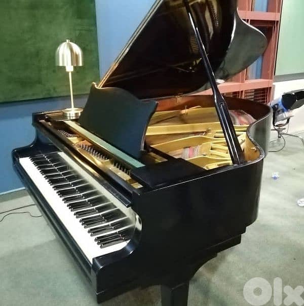 Discounts on pianos up to 40% 14
