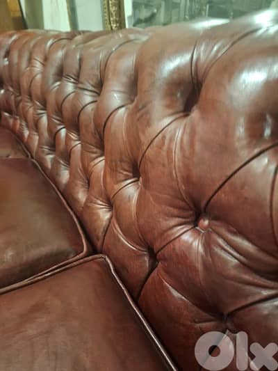 chesterfield salon genuine leather buffalo original