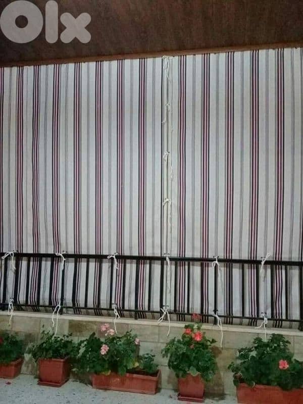 برادي خارجي الاسباني مكفول مو بس 10 سنوات 13