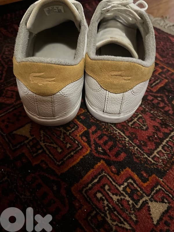Lacoste Shoes 1