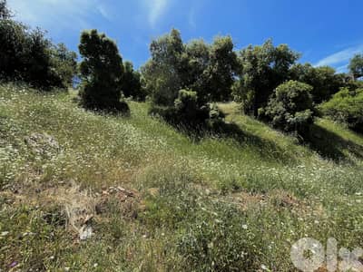 RWK446CA - Land for Sale in Ghineh - أرض للبيع في الغينة