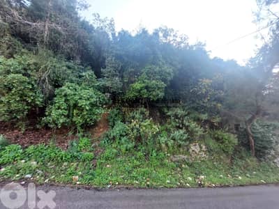 **Hot Deal *|Beautiful Land | Green View |