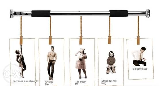 Stainless steel indoor pull-up