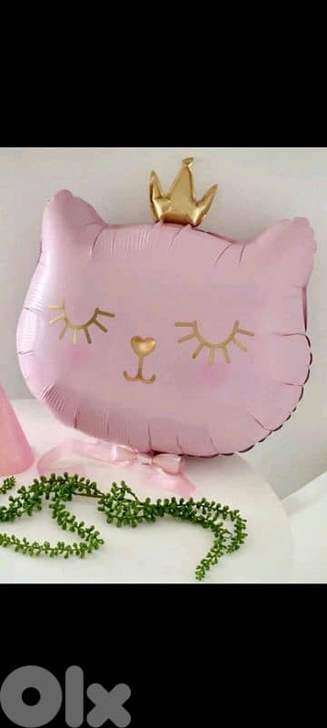 cat Marie birthday theme 5
